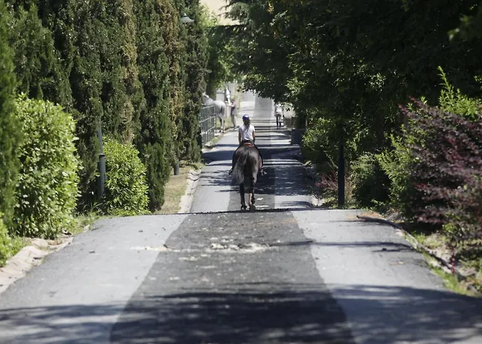 Отель Kemer Country Istanbul Zekeriyakoy